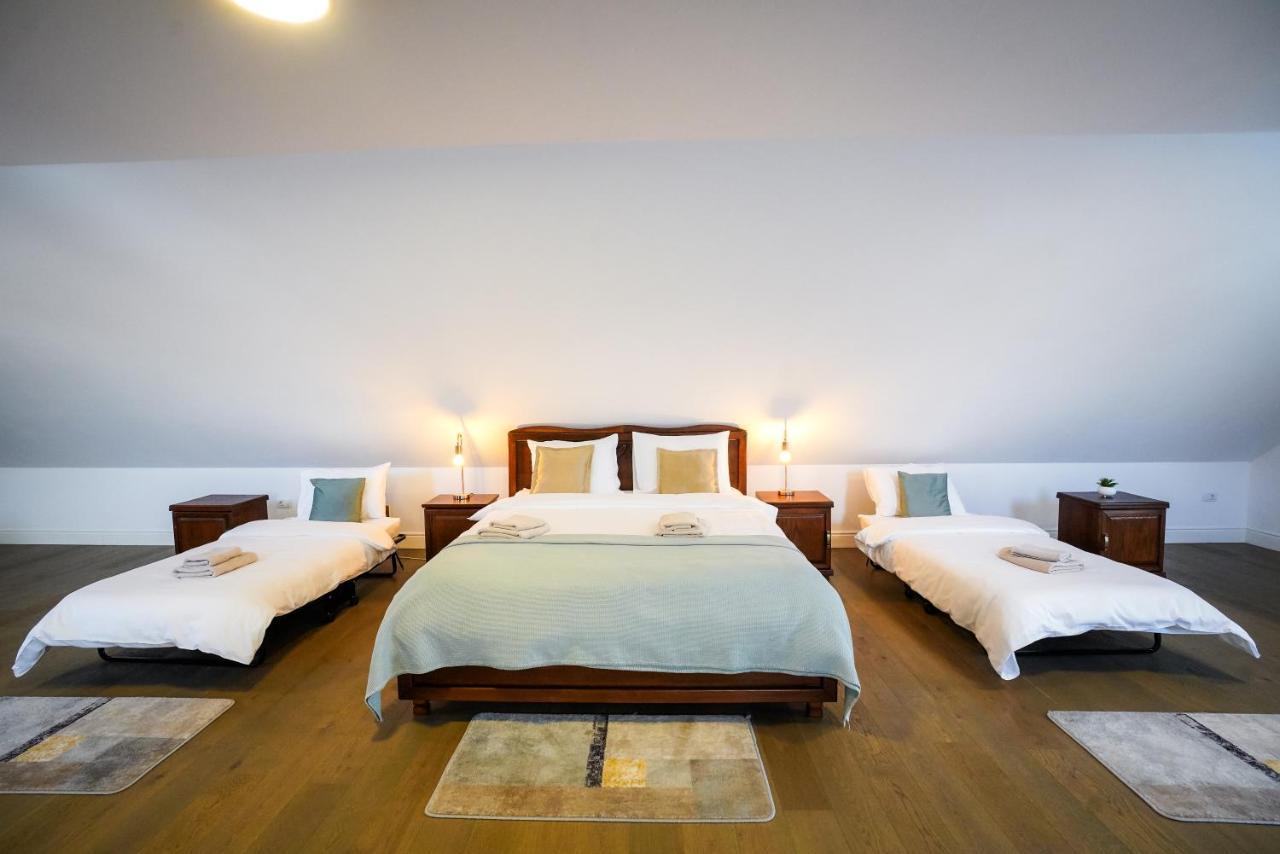 Hotel Yara Vişeu de Sus エクステリア 写真